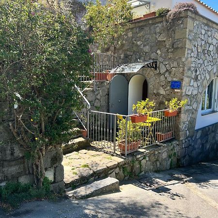 Villa Valentina Suite Massa Lubrense Exterior photo