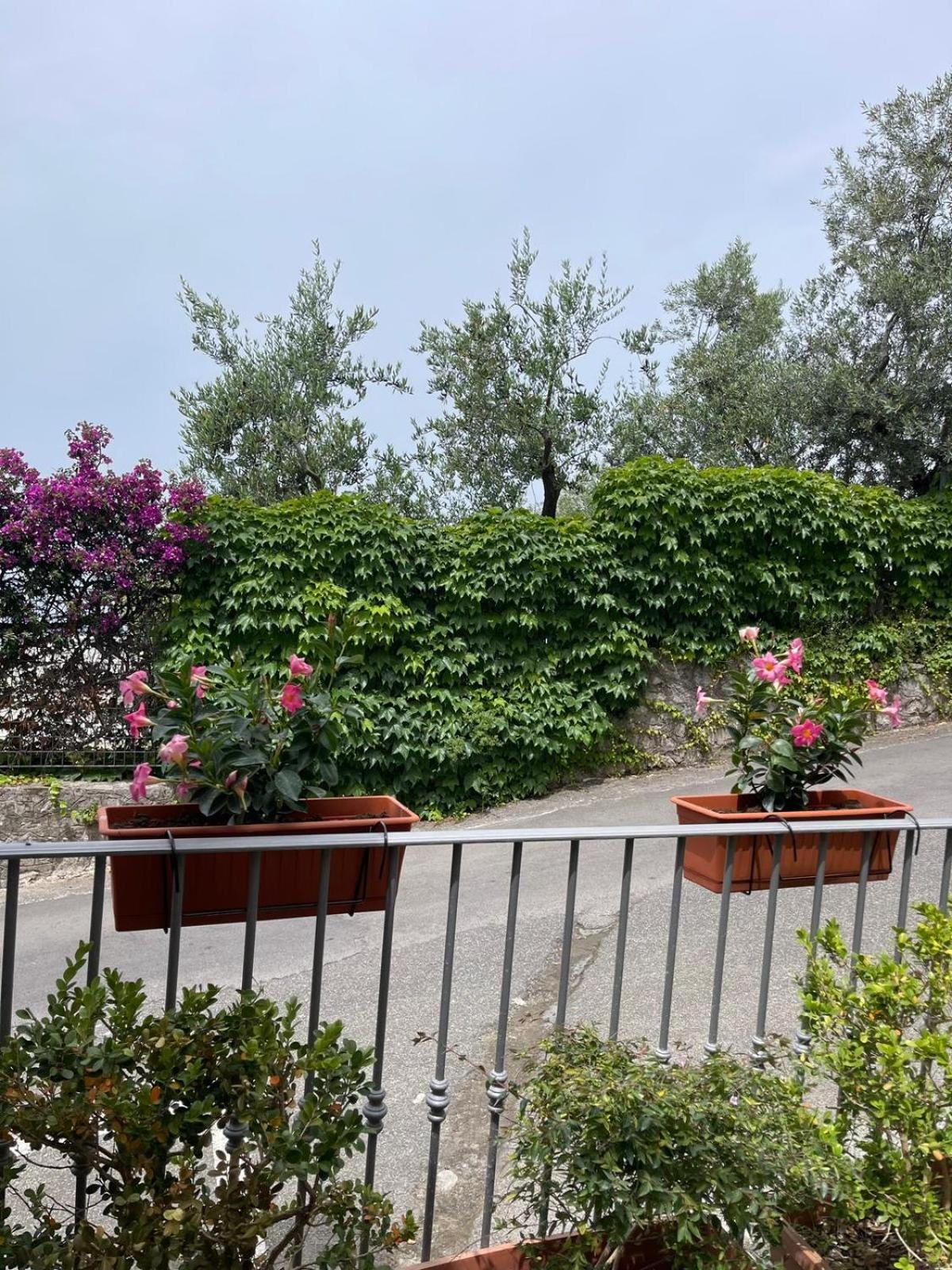 Villa Valentina Suite Massa Lubrense Exterior photo